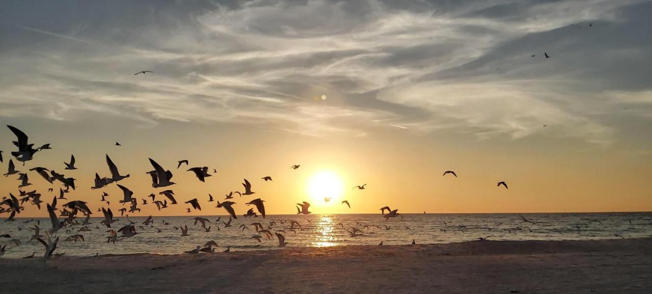 Pelican Pointe 2A Clearwater Beach Exterior foto